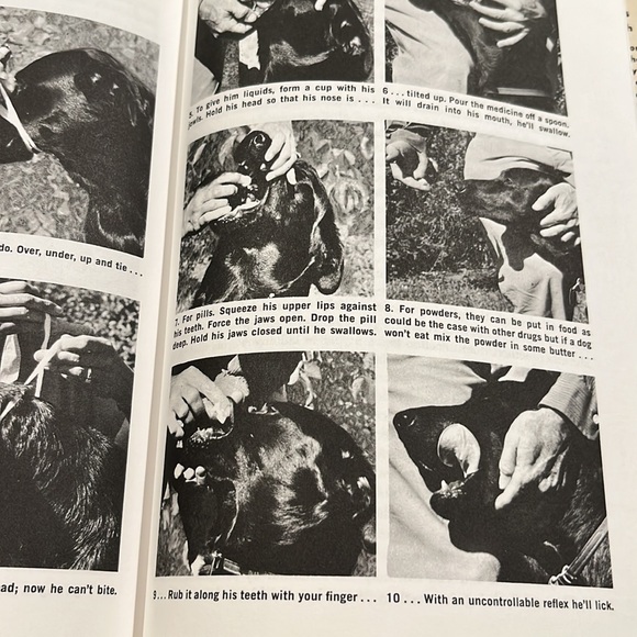 Family Dog by Richard A. Wolters HC/DJ 1975 Book - Picture 16 of 16